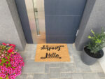 Modern coconut doormat 1044, 40x60