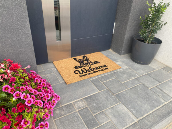 Modern coconut doormat 1020, 40x60