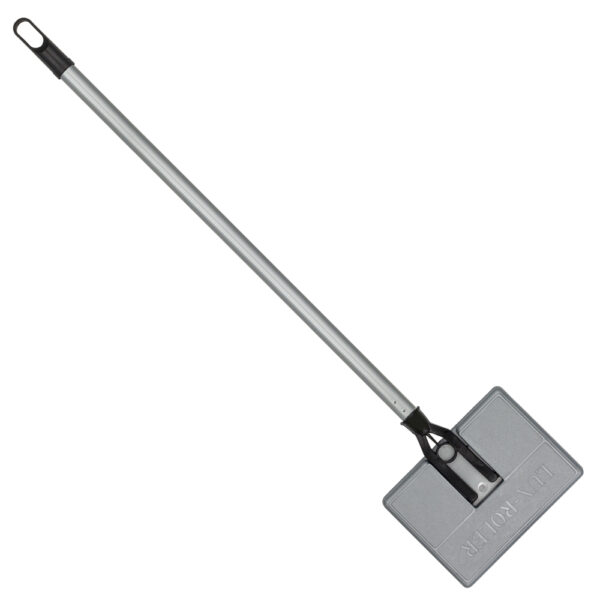 Kaśka Handheld Vacuum Cleaner, Gray Lux-Roller